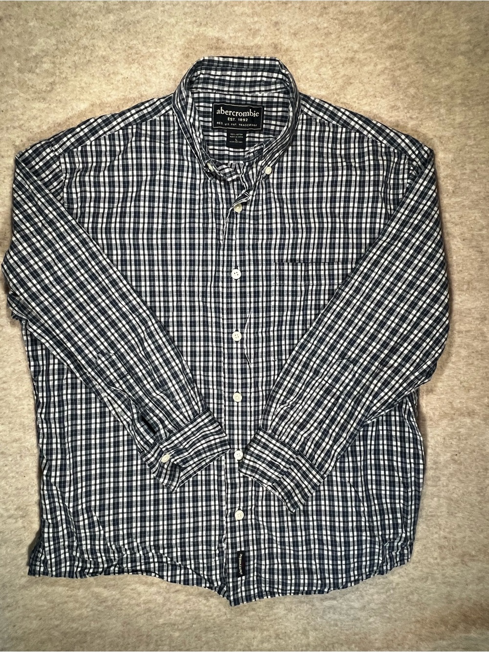 Abercrombie & Fitch Navy and White Plaid Button-Down Shirt